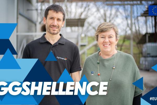 Life Eggshellence