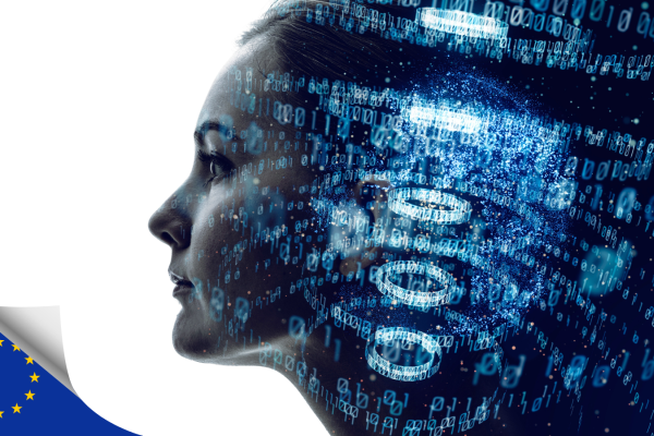 La UE establece una Estrategia Digital Internacional
